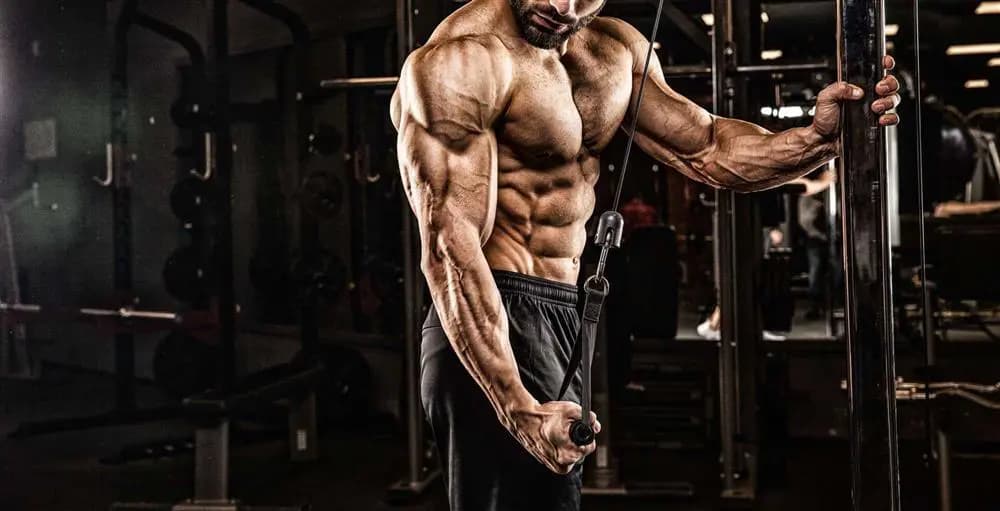 بدنسازی: از مبتدی تا حرفه‌ای 