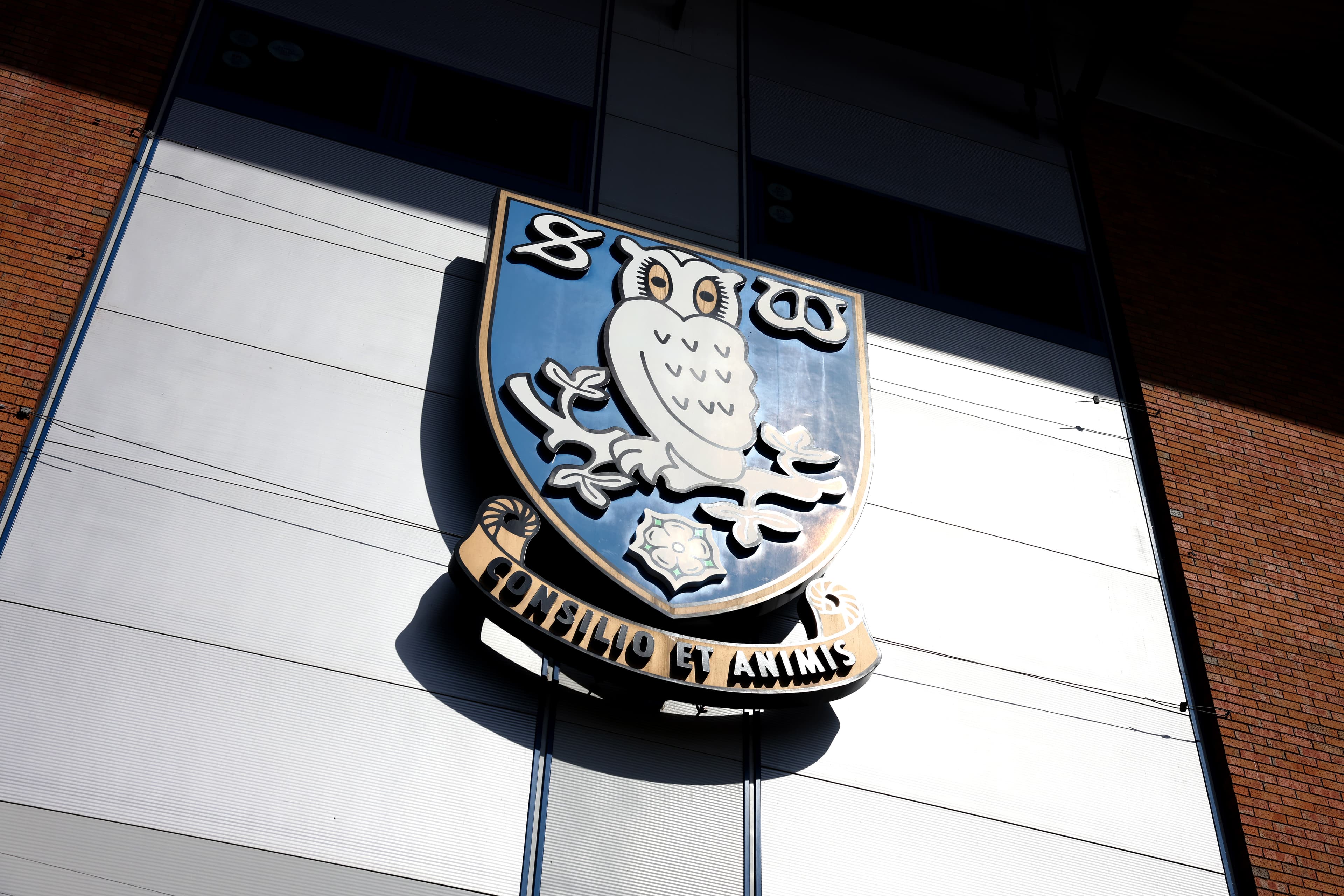 باشگاه تاریخی شفیلد ونزدی در آستانه فروپاشی؛ بحران مالی، استادیومی و مدیریتی