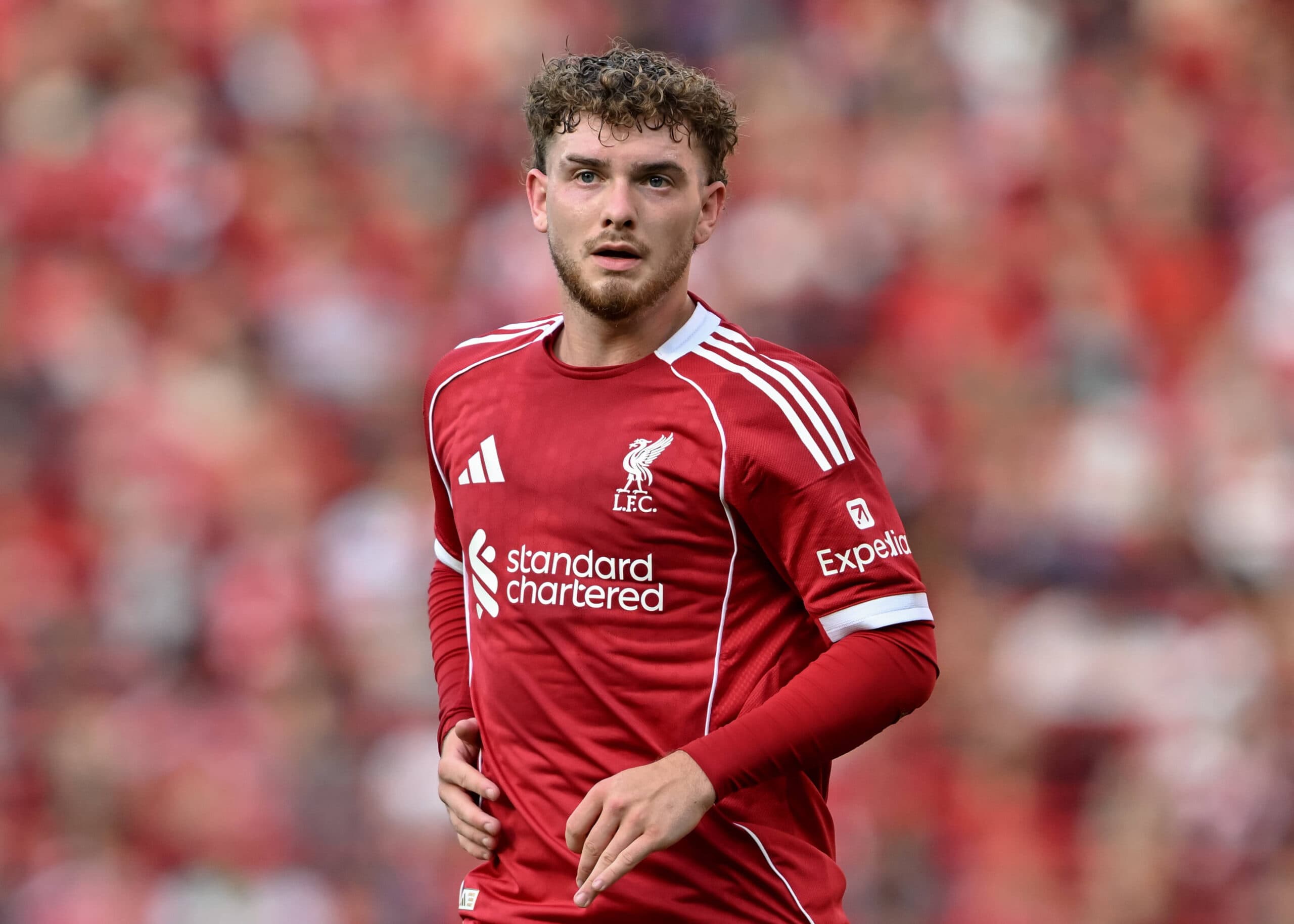 شگفتی جدید در لیورپول: گزینه غیرمنتظره برای ضربات ایستگاهی پس از جدایی الکساندر-آرنولد