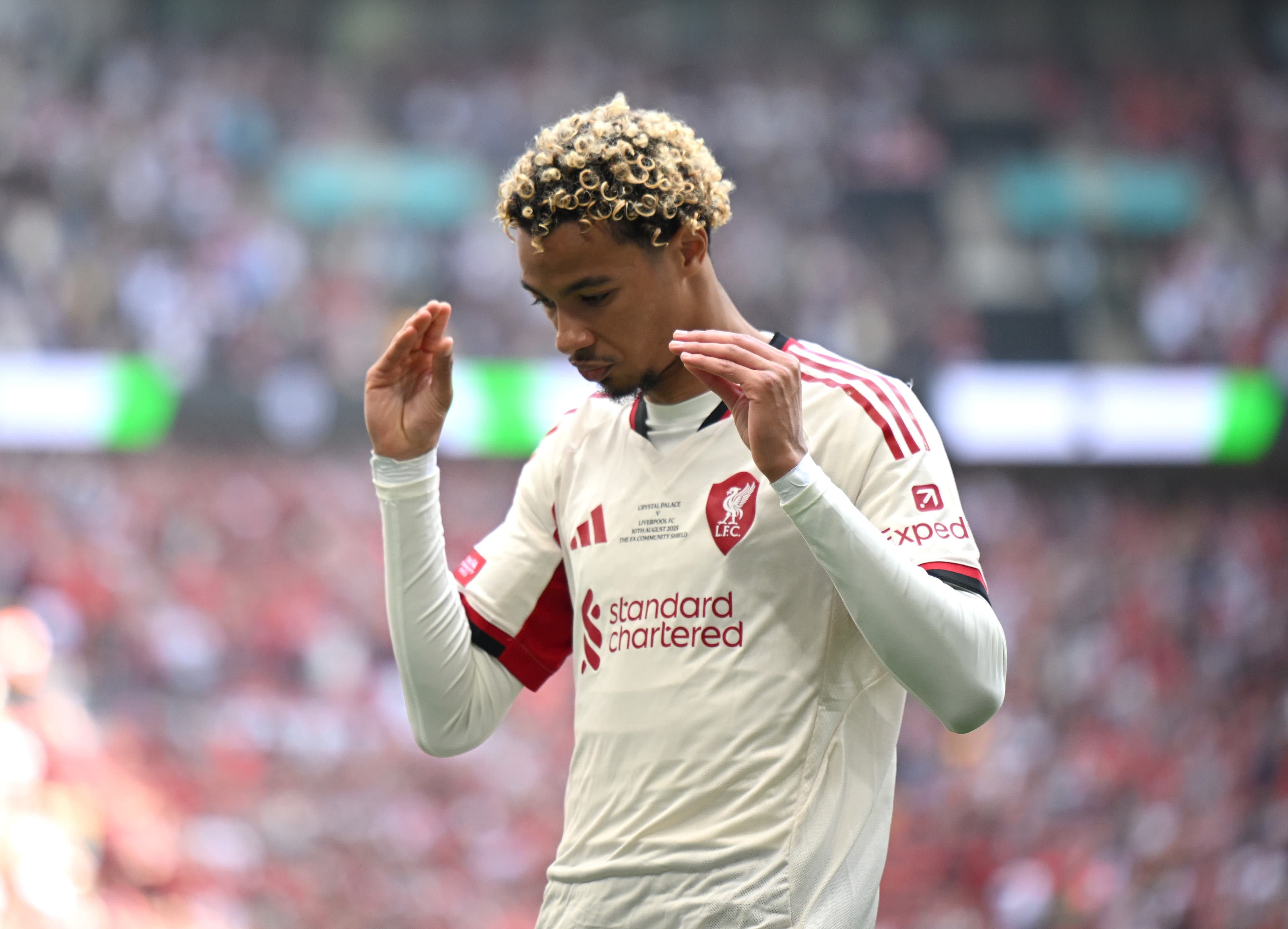 پنج شگفتی احتمالی در لیست تیم ملی فرانسه دیدیه دشان