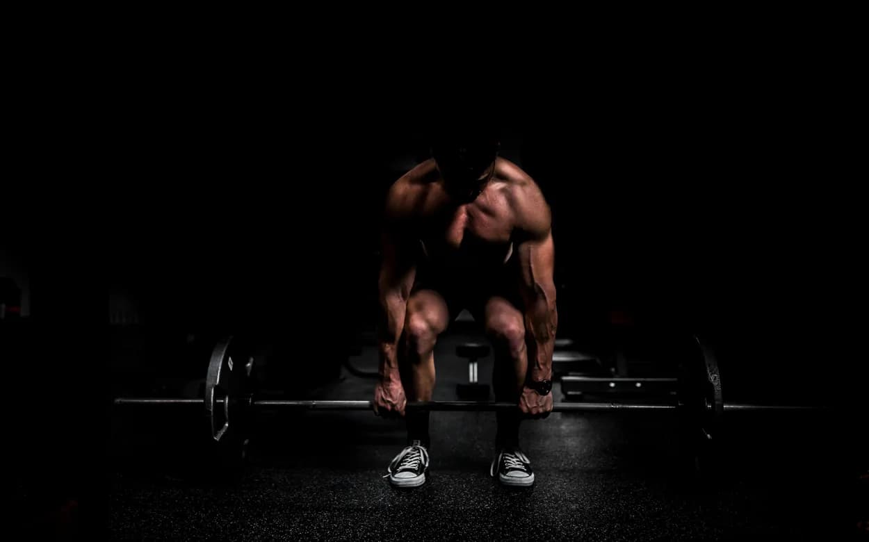 Fitness trx(ترکیبی)